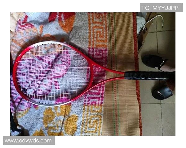 陈秀英独家分享网球心得与技巧助你提升球技的秘诀与经验