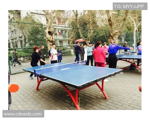 成都乒乓球队转型之路的探索与挑战总决赛特别报道