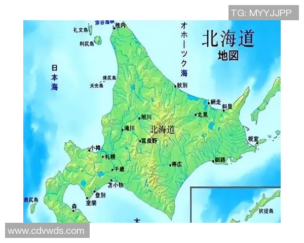日本足球之光：探索日本最强足球明星的辉煌历程与成就
