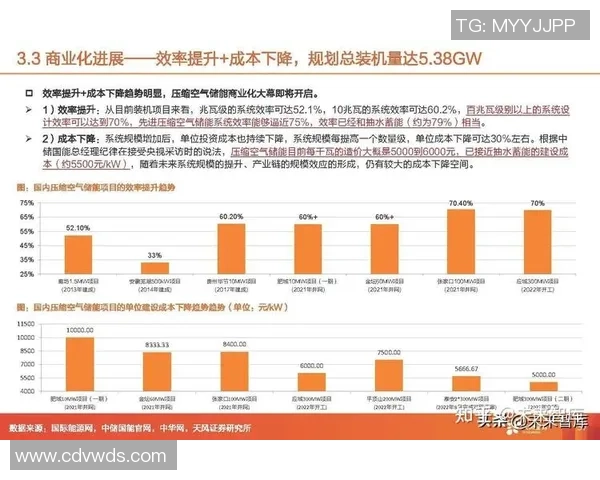 杭州排球队技术分析与战术创新的深度探讨与展望