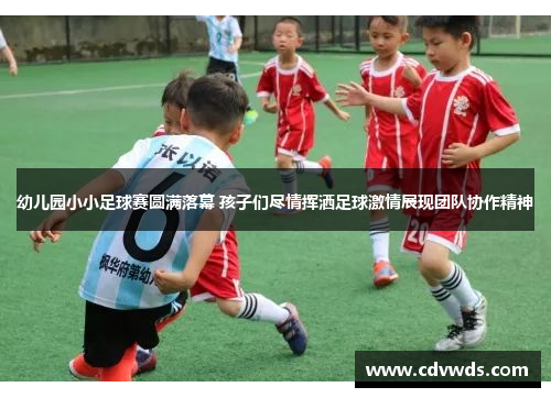 幼儿园小小足球赛圆满落幕 孩子们尽情挥洒足球激情展现团队协作精神