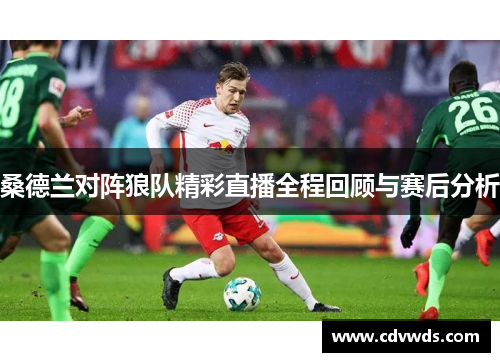 桑德兰对阵狼队精彩直播全程回顾与赛后分析